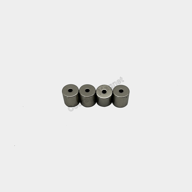 Radially magnetized hollow cylindrical magnet ring 9.9 x 2.5 x 10 mm