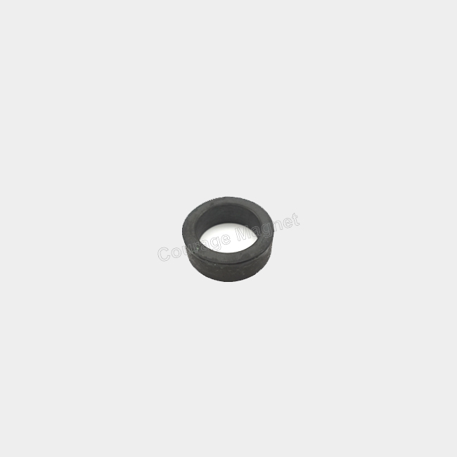 Multipole 8 Poles Ferrite Ring Magnet 40 x 28 x 13 mm