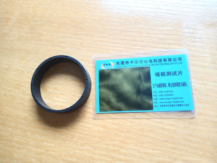 10 pole injection Ndfeb magnetic ring physical sample