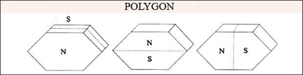 Schematic of the magnetization direction of several special shaped mag