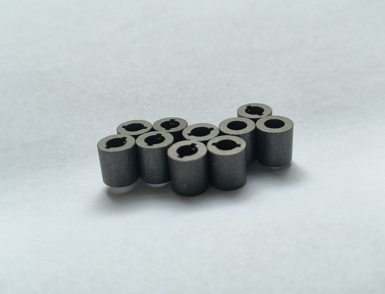 Paraline Coated 4-Pole Bonded Neodymium Magnets Ring