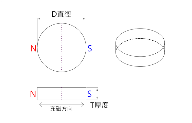 Schematic diagram of a circular magnetic pole with radial (diameter) magnetization