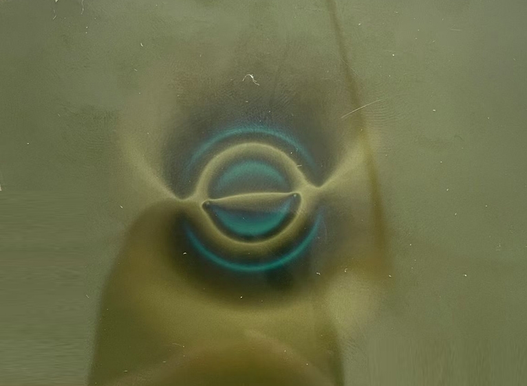 Magnetic Pole Distribution of a Single Pair Pole Radial Magnetic Ring