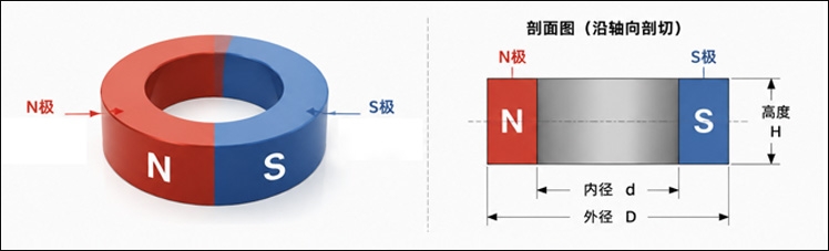 Schematic diagram of radial 2-pole magnetisation of a magnetic ring